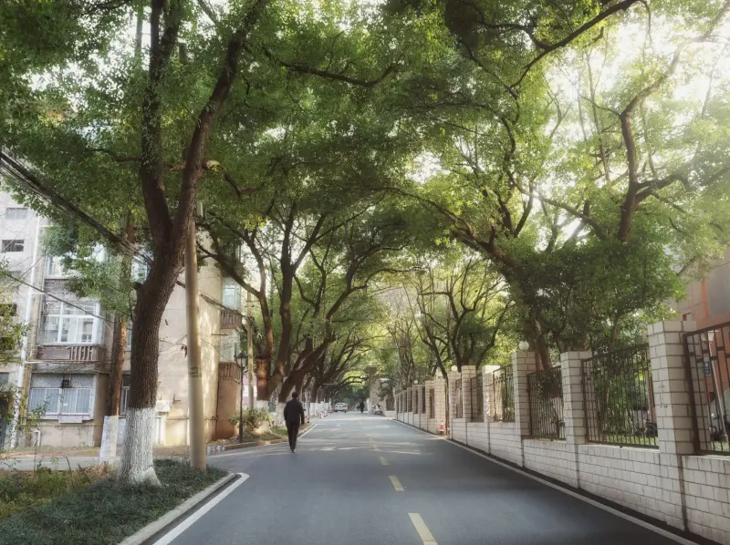海南中医药研究所附属琼岛医院内科常见病多学科协作诊疗方案设计