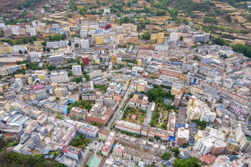 海南地区中医科特色诊疗技术发展与应用前景